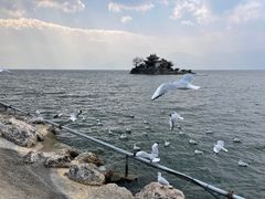 -小普陀