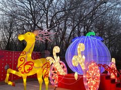 -南宫五洲植物乐园