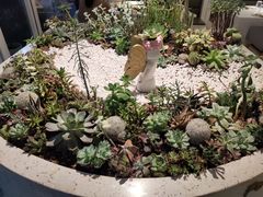 -春树下·树屋花房西餐厅(罍街AS1980店)