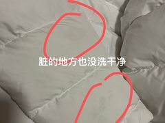 -福奈特洗衣·洗鞋·奢侈品护理(浦东南路店)