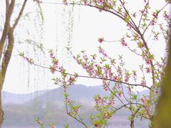 -西湖风景名胜区(西湖)