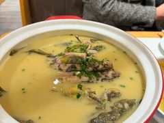 -饭橘汉江码头·乡野土菜馆(静安路店)