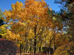 -长春世界雕塑园冰雪艺术天地