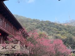 -韬光茶庵