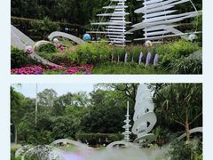 -广州市白云山风景名胜区