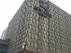 -鹏欣水游城