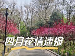 -中山公园