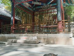 -潭柘寺景区