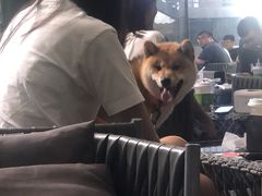 -野萃山·潮汕厚果汁(十亩地店)