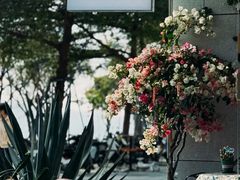 -ommo cafe(半岛城邦店)