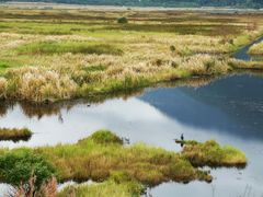 -腾冲北海湿地