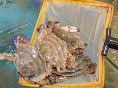 -甬小馆·焗海鲜温州菜(五马街店)