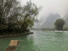 -遇龙河大樟树农家乐