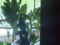 -紫莲花足道(柯桥古镇店)