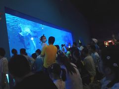 -常州海昌海洋探索馆
