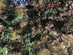 -藏龙百瀑风景区