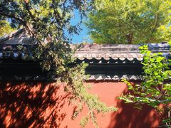 -雍和宫