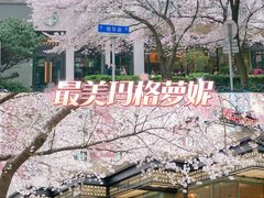 -玛格萝妮比萨屋(四平店)