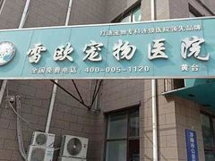 -瑞派雷欧宠物医院·中兽医·眼科·急重症转诊中心(黄台店)