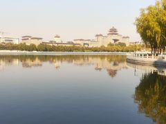 -莲花池公园