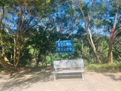 -广东惠东海龟国家级自然保护区