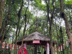 -黄山翡翠谷景区