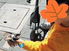 -名驭国际马术学院