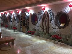 -碧中海汤泉汗蒸酒店