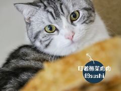 -奈雪的茶(漫广场店)