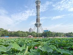 -裕华世纪公园
