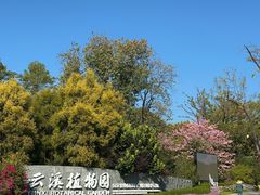 -云溪植物园