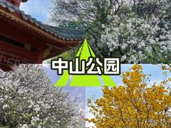 -中山公园(石岐街道)