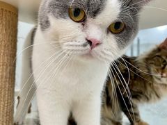 -1013 PET SHOP 宠物商店(近铁城市广场店)