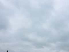-台场海滨公园船码头