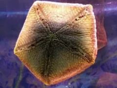 -乌鲁木齐海洋馆