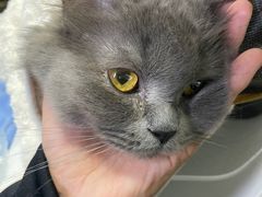 -达爱动物医院·犬猫分区·CT·复杂眼科(远洋山水分院)