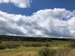 -塞罕坝国家级自然保护区