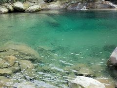 -庐山碧龙潭风景区