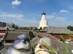-妙应寺白塔