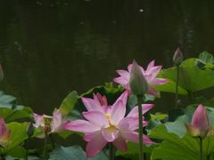 -南翠屏公园