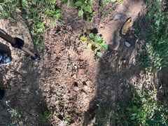 -北京西山国家森林公园