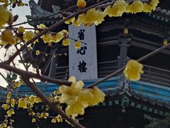 -西安化觉巷清真大寺