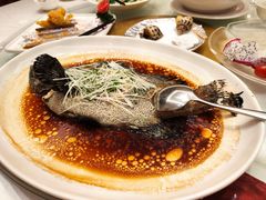 -榕树下海鲜馆(坪山路店)