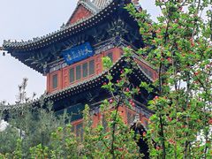 -迎泽公园