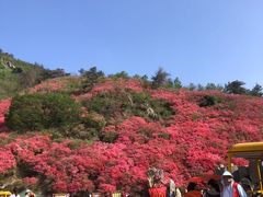 -木兰云雾山