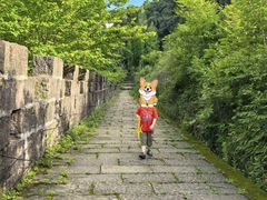 -金堂县云顶石城风景区
