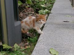 咪咪-苏州河梦清园环保主题公园