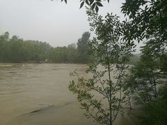 -淇河国家湿地公园