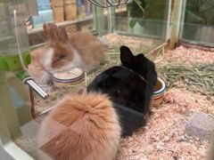 -龙猫仔乐园(惠福东路店)