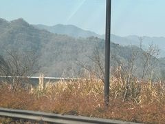 -千岛湖天屿景区